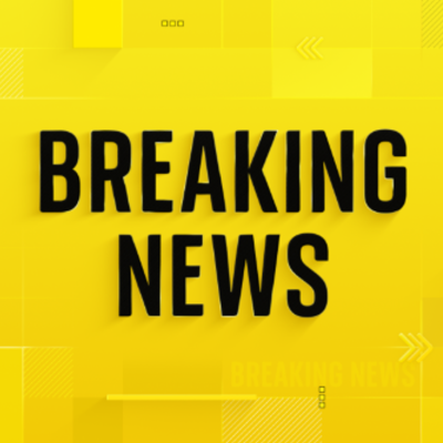 Eight skiers found dead after avalanche in California